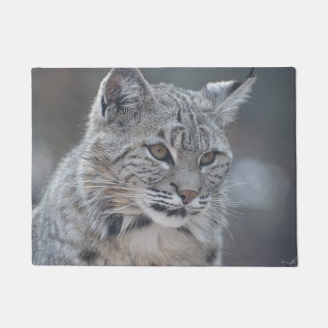 Felpudo Lince asombroso (Anverso)