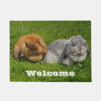 Lionhead Holland Mini Conejo Conejo Conejo Conejo