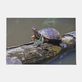 Felpudo Lizard y tortuga de río en Tortuguero - Costa Rica