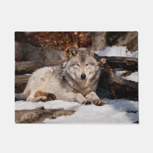 Felpudo Lobo gris del Este