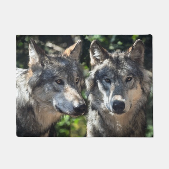 Felpudo Lobos grises en el salvaje (Anverso)