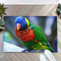 Lorikeet pájaro rojo azul verde fotografía elegant