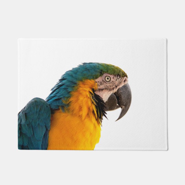 Felpudo loro colorido (Anverso)