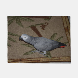 Felpudo Loro gris africano en el suelo del Congo
