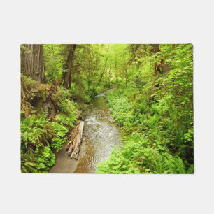 Felpudo Lost Man Creek II en el Parque Nacional Redwood