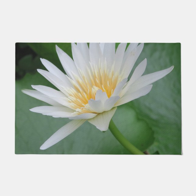 Felpudo Lotus, Namaste, meditación, zen, tiendas, planta,  (Anverso)