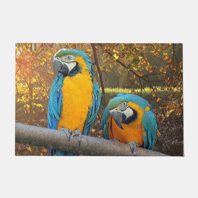 Felpudo Macaws Cheeky (Anverso)