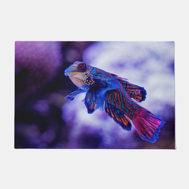 Felpudo Mandarin Goby Fish (Anverso)