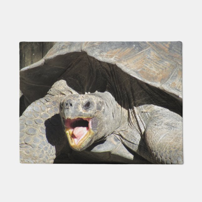 Felpudo Mantener fuera Tortoise - Doormat (Anverso)
