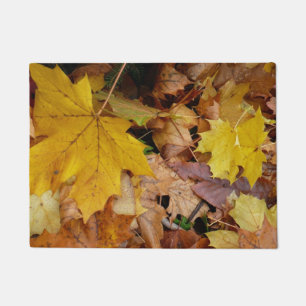 Felpudo Maple caído deja naturaleza otoño amarilla