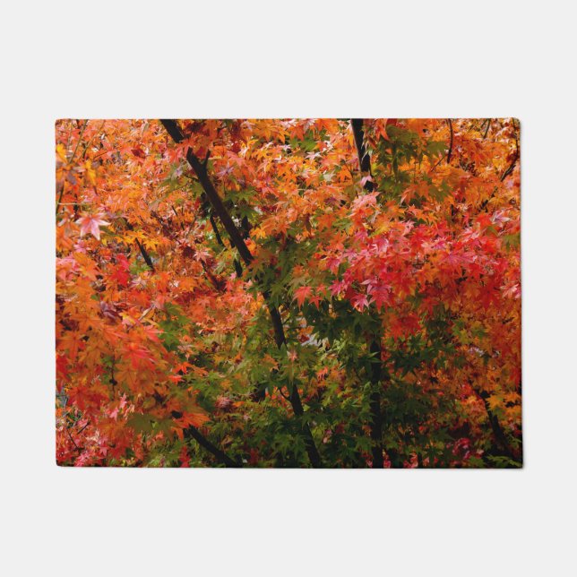 Felpudo Maple japonés en caída (Anverso)