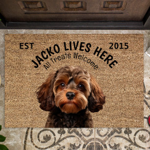 Felpudo Mascota personalizado de Cavapoo