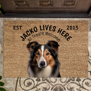 Felpudo Mascota personalizado de Collie