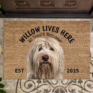Felpudo Mascota personalizado de Komondor