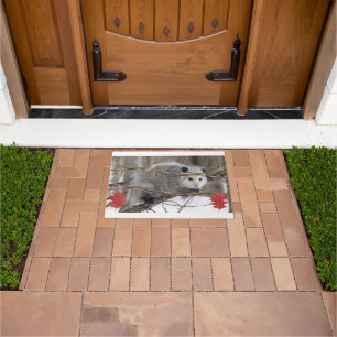 Felpudo Mat de la puerta de la naturaleza de Opossum