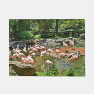 Felpudo Mat de la puerta de los flamencos rosados