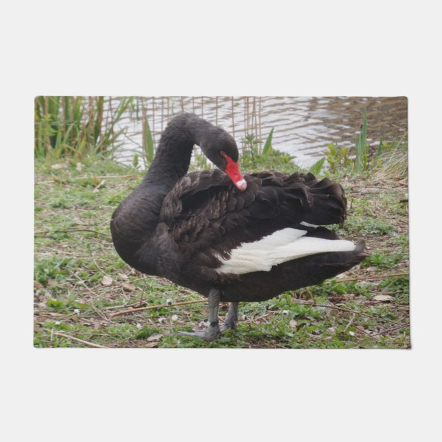 Felpudo Mat de la puerta del cisne negro (Anverso)