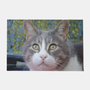 Felpudo Mat de la puerta del gato blanco gris