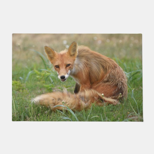 Felpudo Mat de puerta de 24" x 36" de zorro (Anverso)