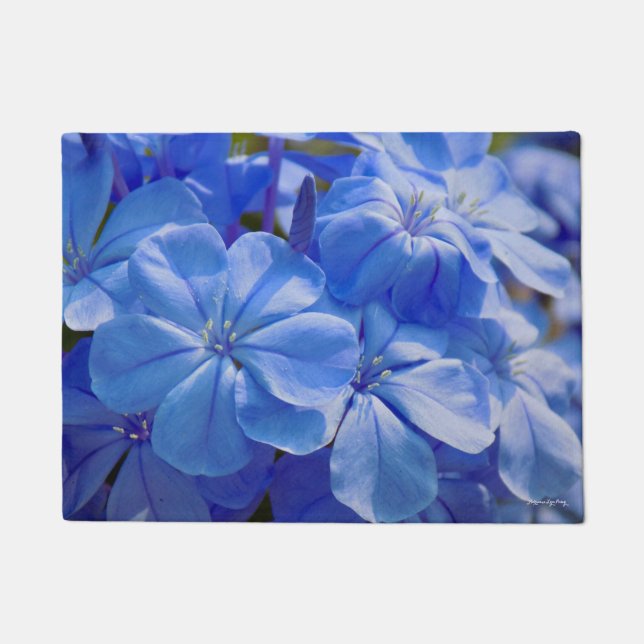 Felpudo Mat de puerta de flores azules (Anverso)