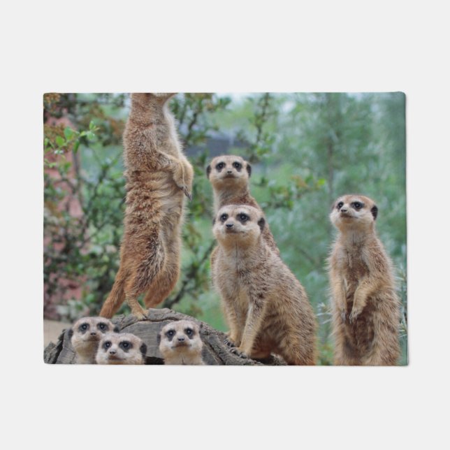 Felpudo Meerkat_003 (Anverso)