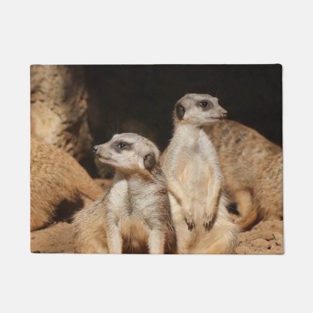 Felpudo Meerkat 003 (Anverso)