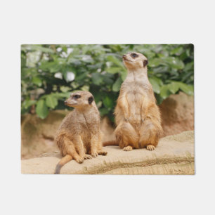 Felpudo Meerkat 009