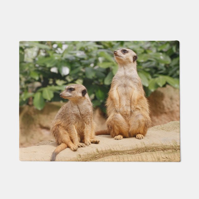 Felpudo Meerkat 009 (Anverso)