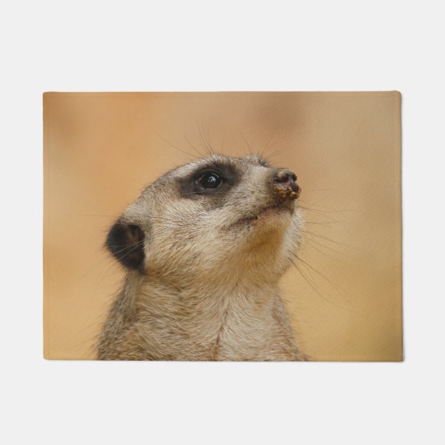 Felpudo Meerkat 011 (Anverso)