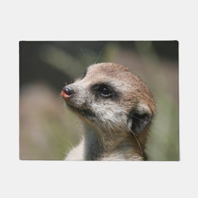 Felpudo Meerkat 014 (Anverso)