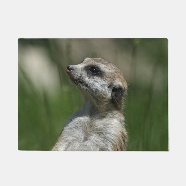 Felpudo Meerkat 015 (Anverso)