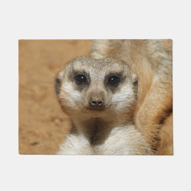 Felpudo Meerkat 016 (Anverso)