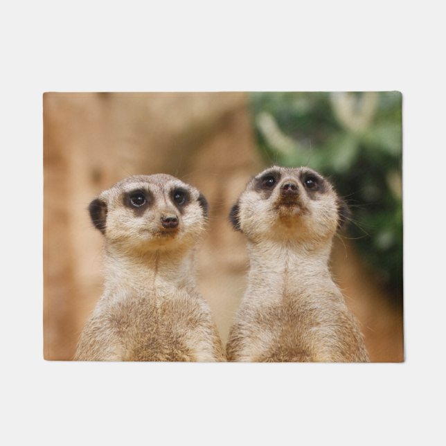 Felpudo Meerkat 017 (Anverso)