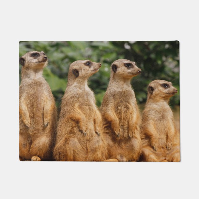Felpudo Meerkat 018 (Anverso)