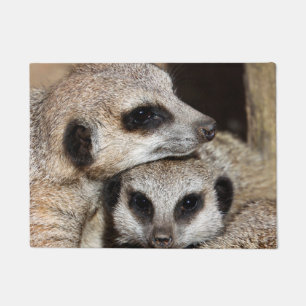 Felpudo Meerkat 019