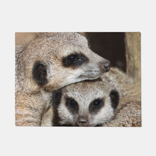 Felpudo Meerkat 019 (Anverso)
