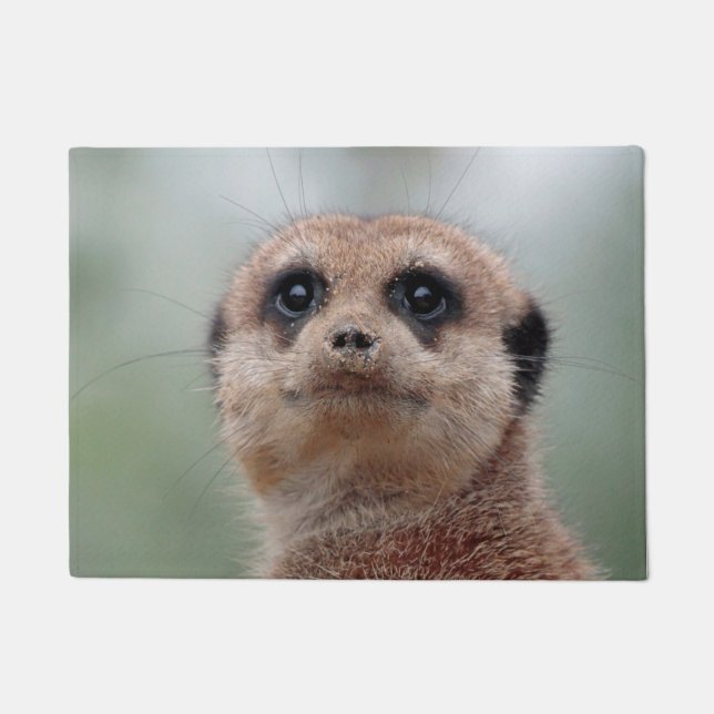 Felpudo Meerkat 020 (Anverso)