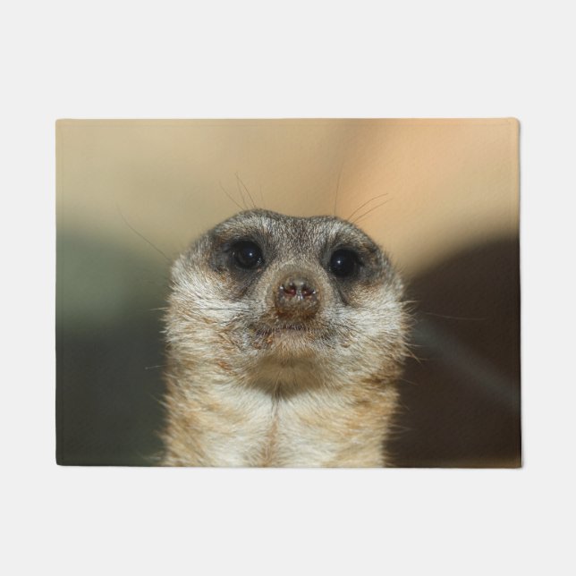 Felpudo Meerkat 023 (Anverso)