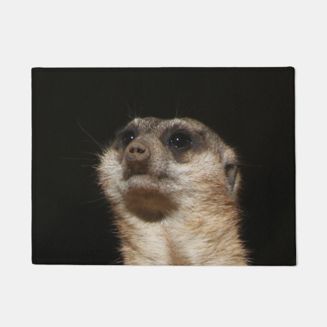 Felpudo Meerkat 032 (Anverso)
