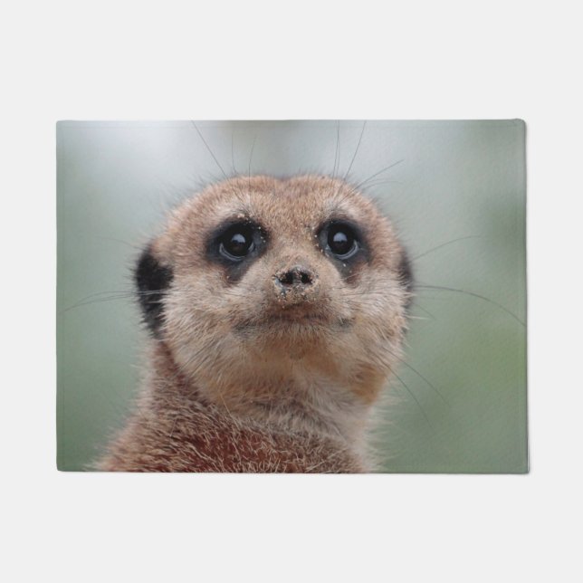 Felpudo Meerkat 036 (Anverso)