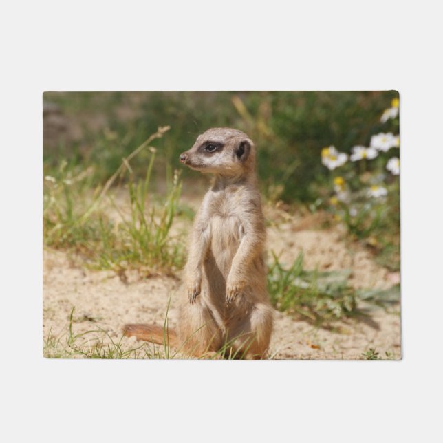 Felpudo Meerkat 038 (Anverso)