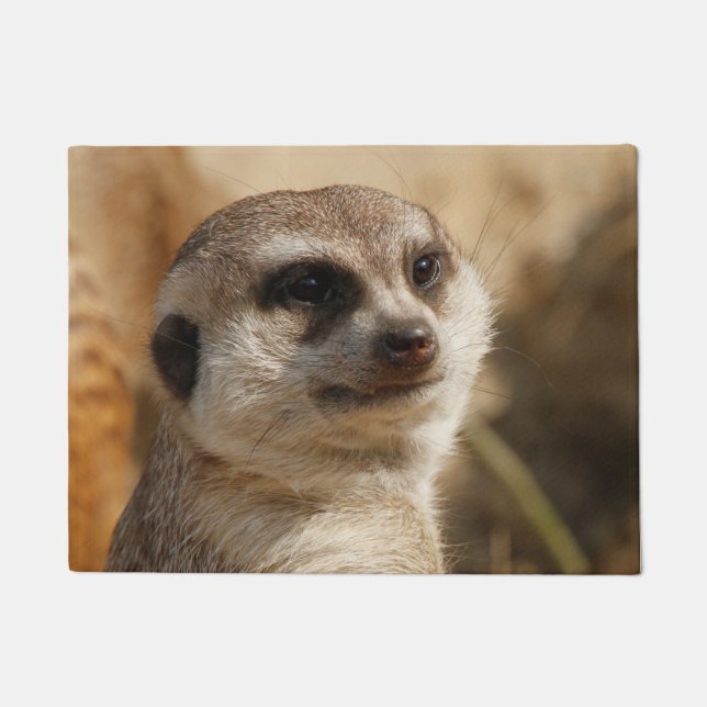 Felpudo Meerkat 041 (Anverso)