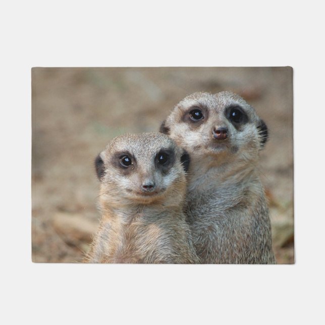 Felpudo Meerkat 047 (Anverso)