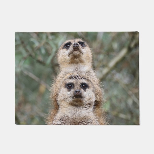 Felpudo Meerkat 081 (Anverso)