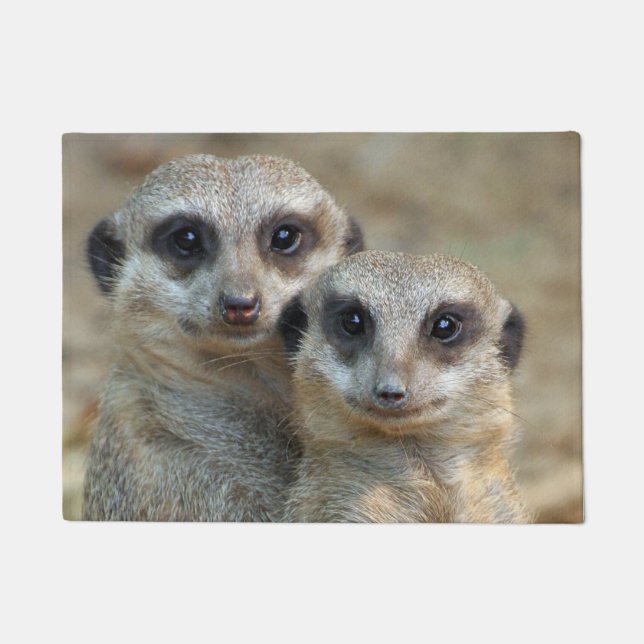 Felpudo Meerkat 085 (Anverso)
