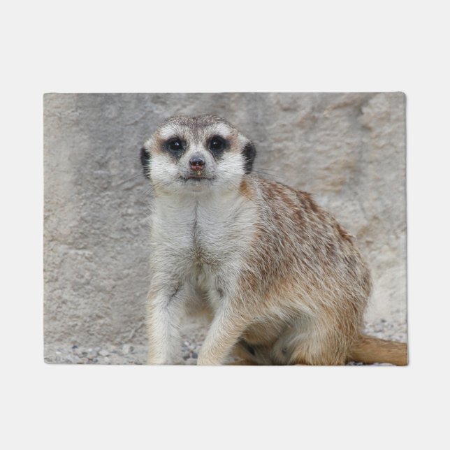 Felpudo Meerkat 134 (Anverso)