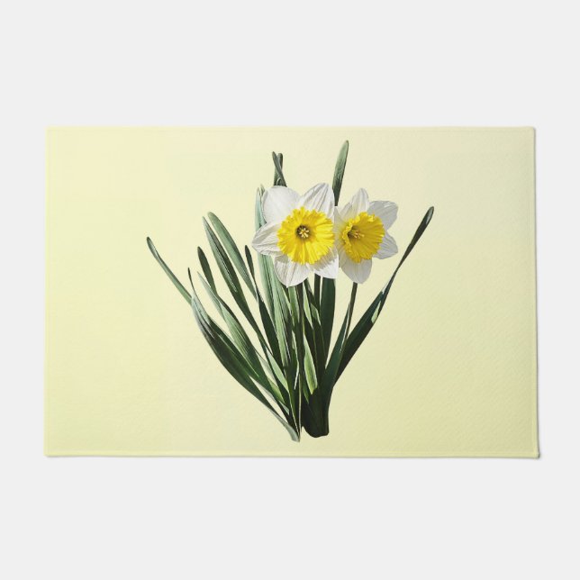 Felpudo Modesto Narciso Pequeño (Anverso)