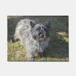 Felpudo Mojón Terrier negro