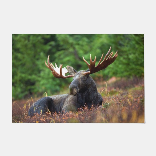 Felpudo Moose (Anverso)