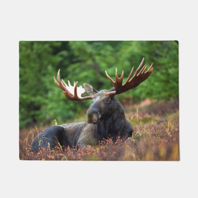 Felpudo Moose Doormat (Anverso)